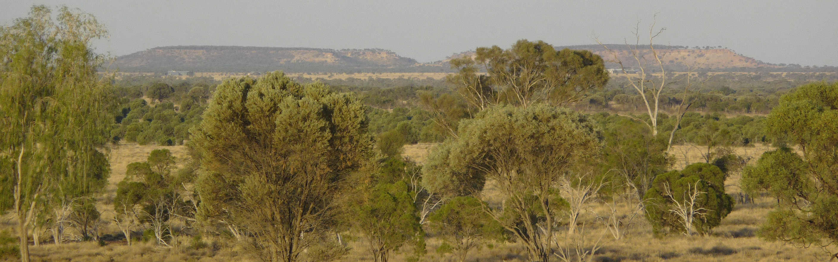 GBOF_Land_Banner